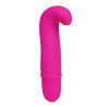 Mini Vibro Stimulateur DANA - Pretty Love